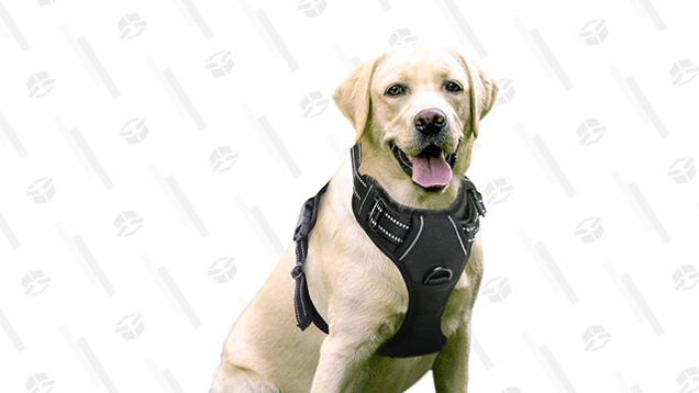The Rabitgoo Dog Harness is sized best for larger dog breeds, like Newfoundlands, German shepherds, Akitas, huskies, labradors, and more.